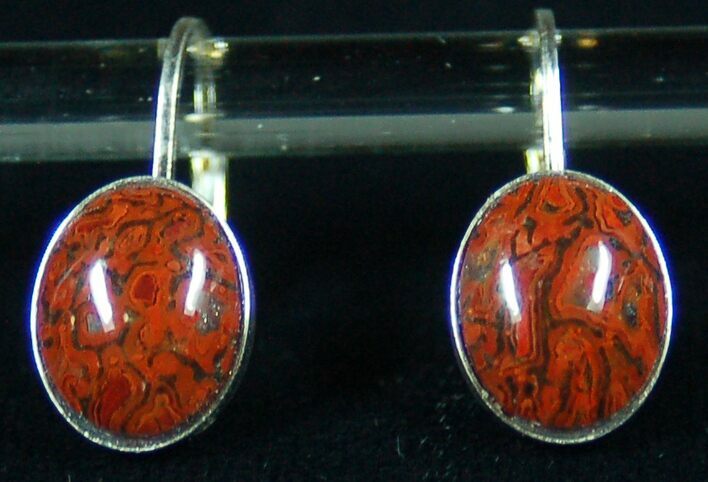 Dark Red, Polished Dinosaur Bone (Gembone) Earrings #54105